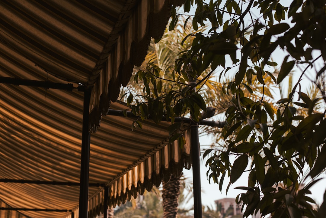 Experience Unmatched Comfort in Premier Luxury Resorts